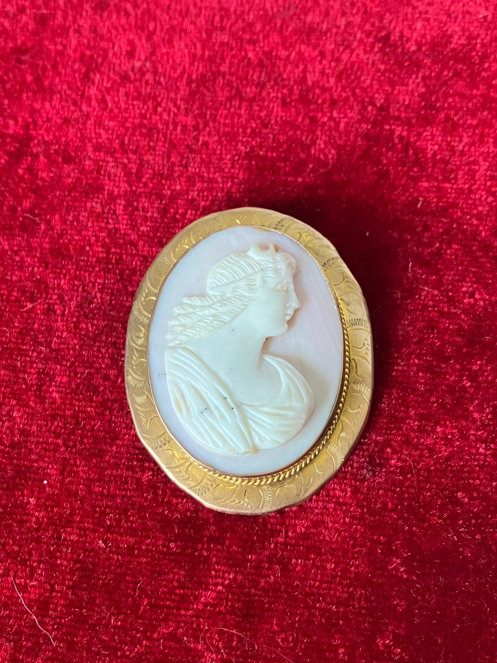 Antique 10K Gold Carnelian Shell Cameo Oval Brooch Pin Pendant Convertible.